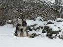 Quelques membres de la famille