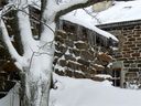 Le jardin pendant l'hiver.
