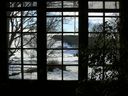 Vue sur le jardin depuis le salon de lecture
